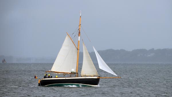 "Homo Faber" segelt die Rumregatta 2026