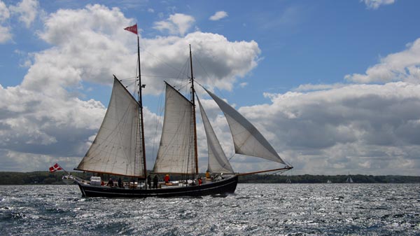 Schoner "Mira" bei der Fjordregatta 2026