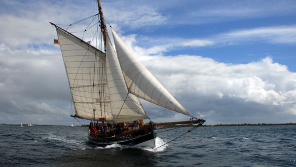 Gaffelkutter "Mytilus" bei der Fjordregatta 2026