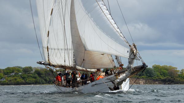 "Nobile" segelt die Fjordregatta 2026