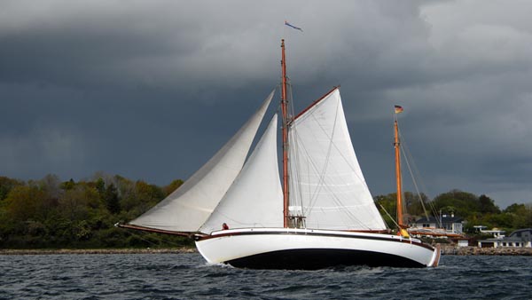 "Rollo", ein alter Bekannter in Flensburg