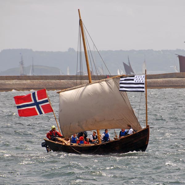 Norwegen zeigt Flagge