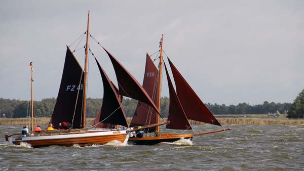 Zeesenboots sailing the regatta