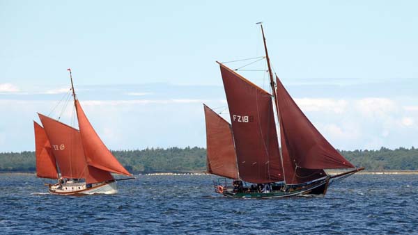 Brown sails of Zeesenboots