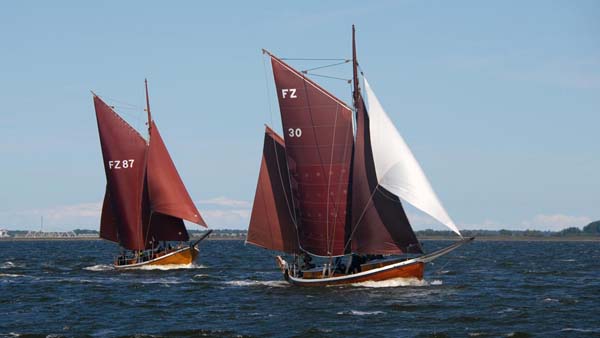 Zeesenboot regatta Bodstedt 2022