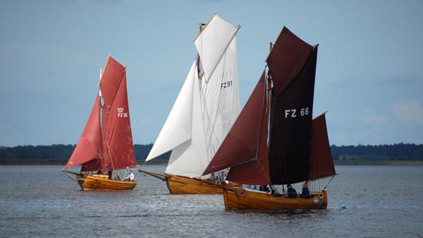 The small class of Zeesenboats at the regatta in Bodstedt 2025