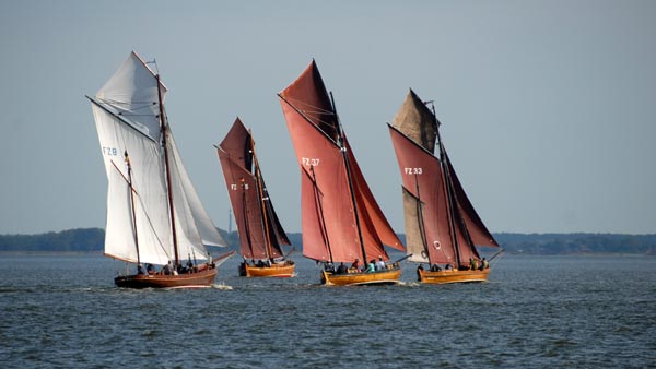 Zeesenboats at the Fischermen's Regatta 2025