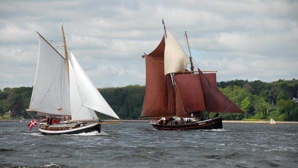 Homo Faber und Victor Jara auf der Rumregatta