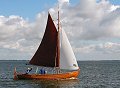 FZ97 Tyoma, Volker Gries, Fischerregatta Althagen 2013 , 09/2013