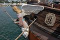 Sviatitel Petr, Volker Gries, Les Tonnerres de Brest 2012 , 07/2012