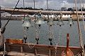 Sviatitel Petr, Volker Gries, Les Tonnerres de Brest 2012 , 07/2012