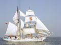 Greif, Volker Gries, Hanse Sail Rostock 2003 , 08/2003