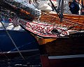 Amphitrite