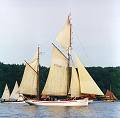 Carmelan, Volker Gries, Rum-Regatta 2000 , 06/2000