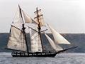La Recouvrance, Volker Gries, Sail Brest / Cutty Sark 2002 , 07/2002