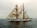 Greif, Volker Gries, Hanse Sail 1996 / Cutty Sark 1996 , 08/1996