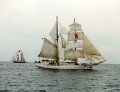 Greif, Volker Gries, Hanse Sail 1996 / Cutty Sark 1996 , 08/1996