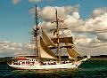Greif, Volker Gries, Hanse Sail Rostock 2001 , 08/2001