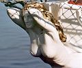 Aphrodite