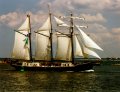 Salomon, Volker Gries, Hanse Sail Rostock 1997 , 08/1997