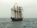 Salomon, Volker Gries, Hanse Sail 1996 / Cutty Sark 1996 , 08/1996